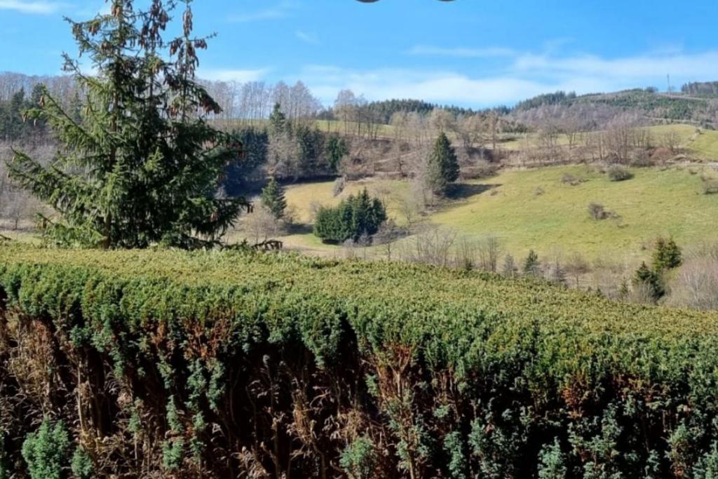 Ferienwohnung Aartalblick Willingen Willingen  Dış mekan fotoğraf
