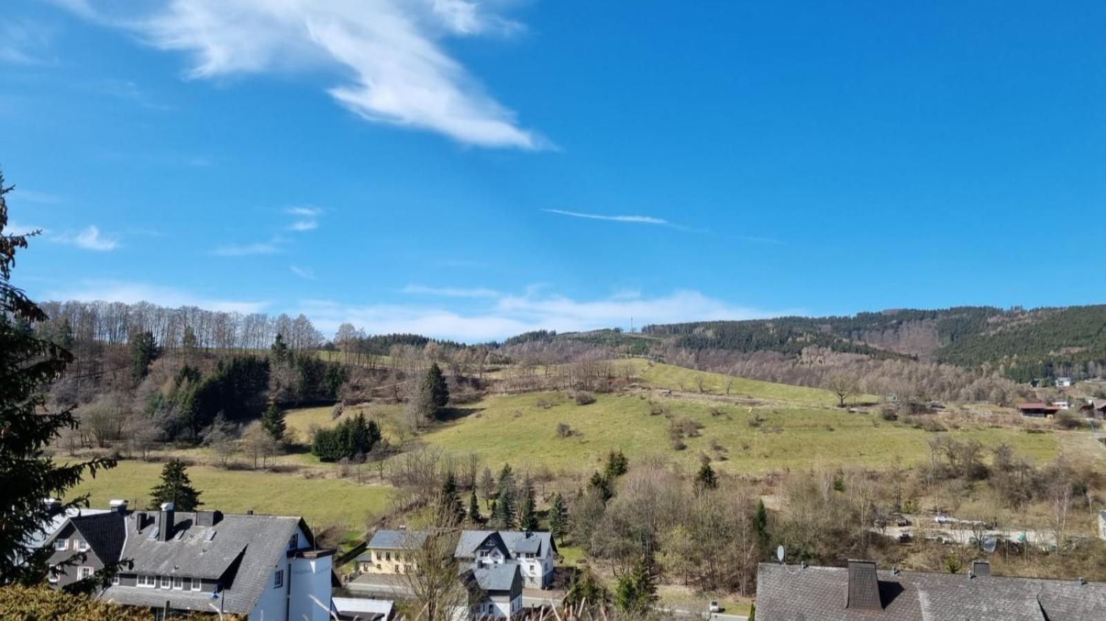 Ferienwohnung Aartalblick Willingen Willingen  Dış mekan fotoğraf